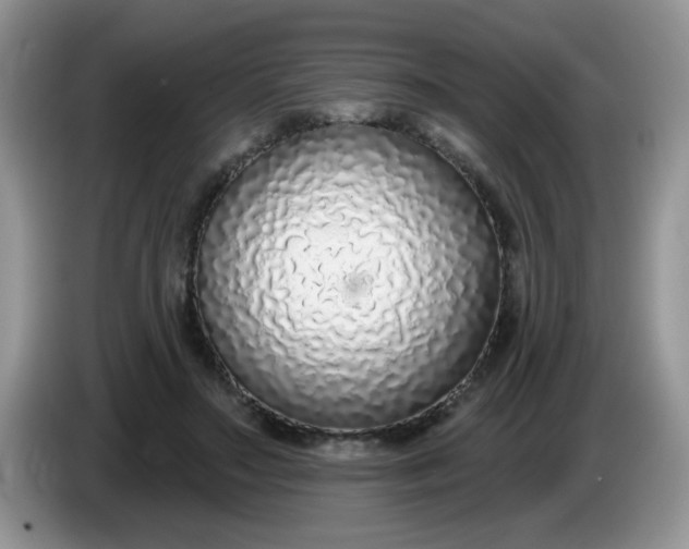 X0000086250499200704121954
