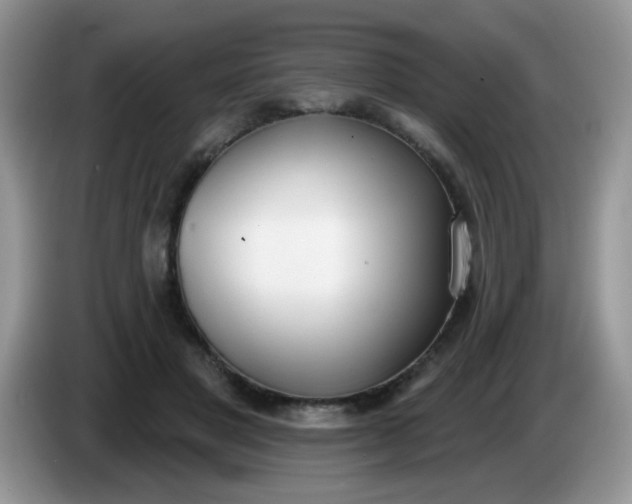 X0000086250501200704121954