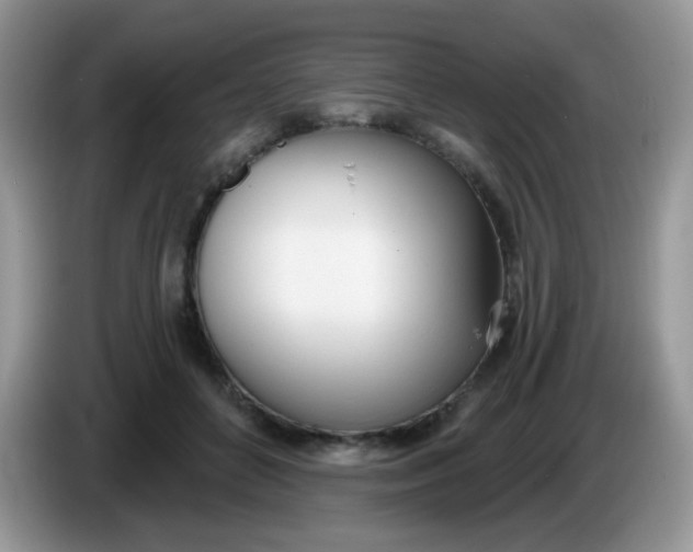 X0000086250504200704121954