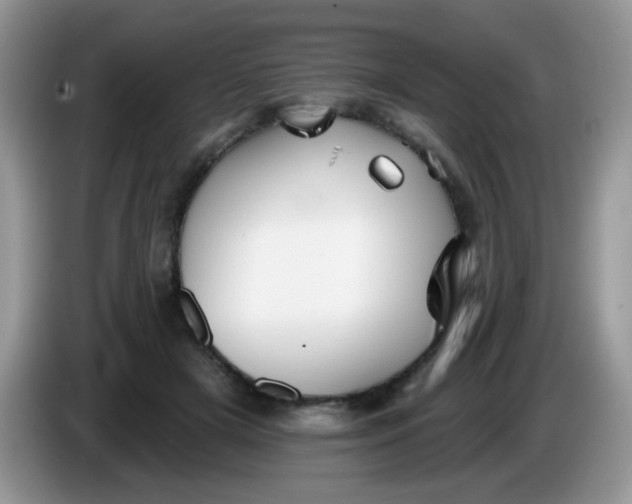 X0000086250505200704121954