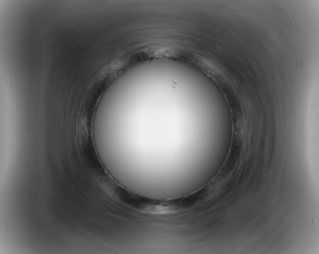 X0000086250506200704121954