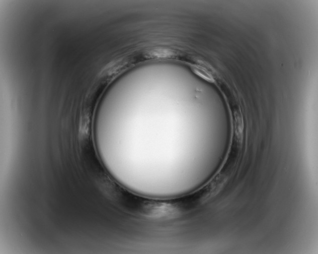 X0000086250507200704121954