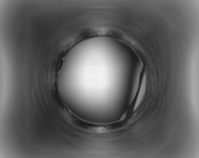 X0000086250509200704121954