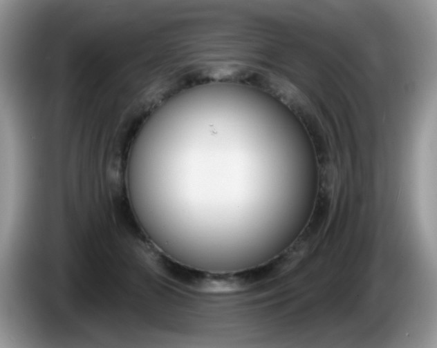 X0000086250510200704121954