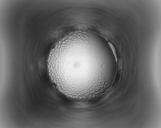 X0000086250511200704121954