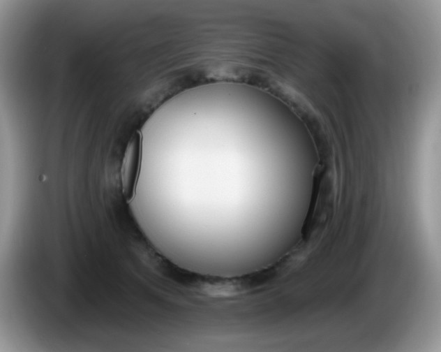X0000086250513200704121954