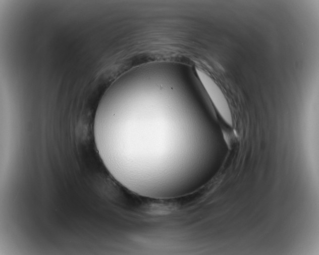X0000086250515200704121954