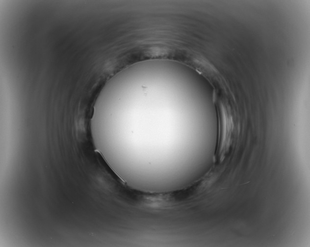X0000086250516200704121954