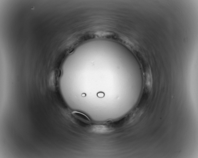 X0000086250519200704121954