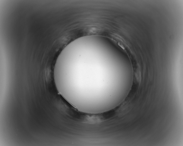 X0000086250520200704121954