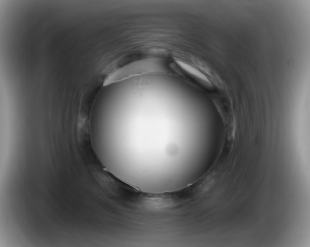 X0000086250521200704121954