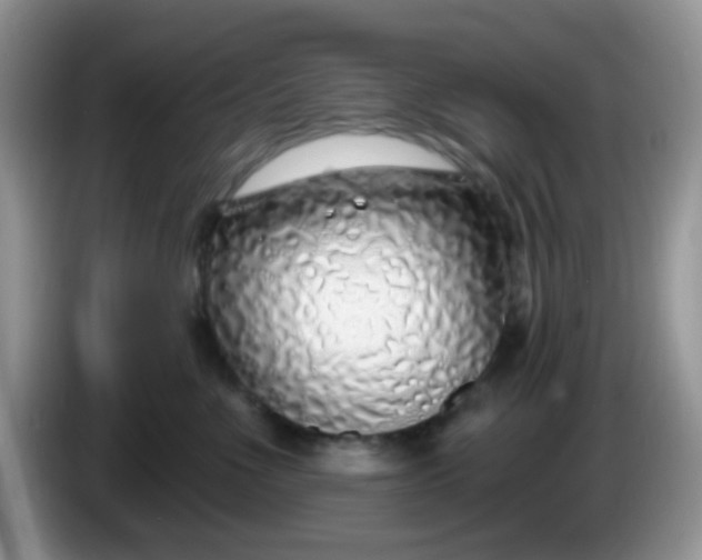 X0000086250523200704121954