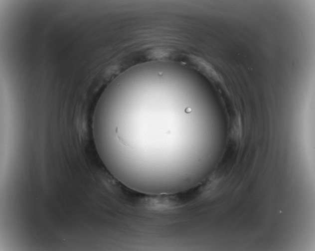 X0000086250524200704121954