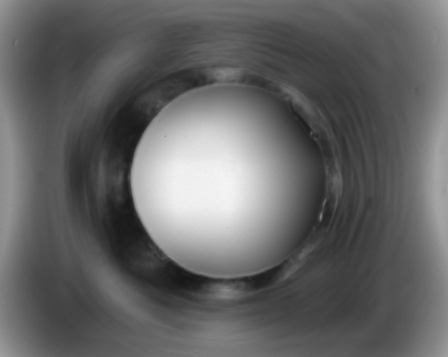 X0000086250525200704121954