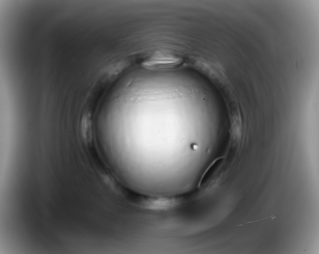 X0000086250527200704121954