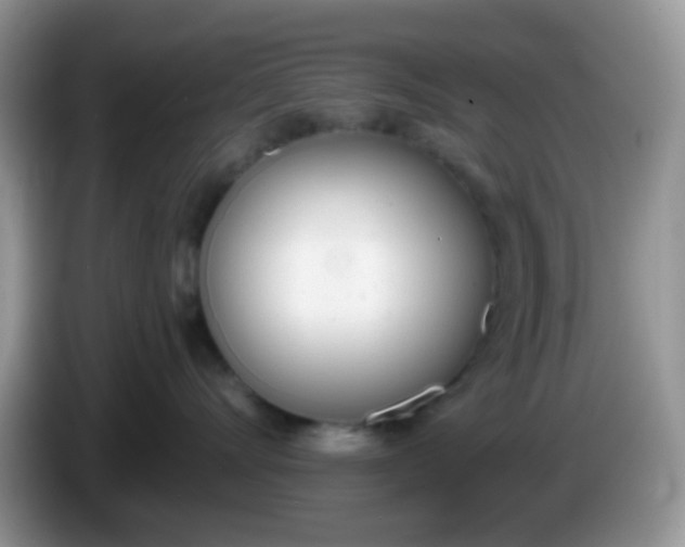 X0000086250528200704121954