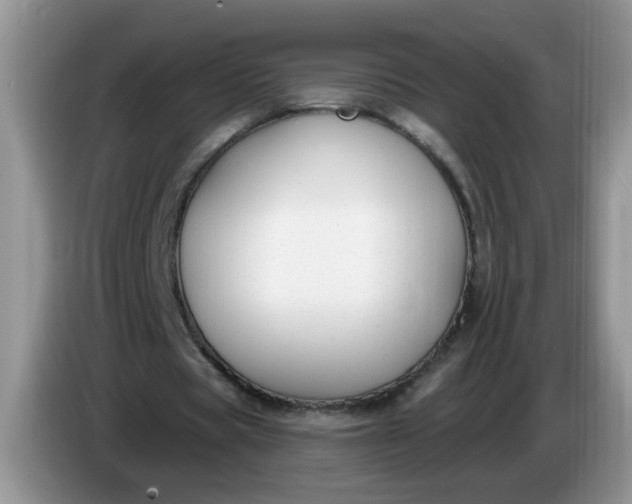 X0000086250529200704121953