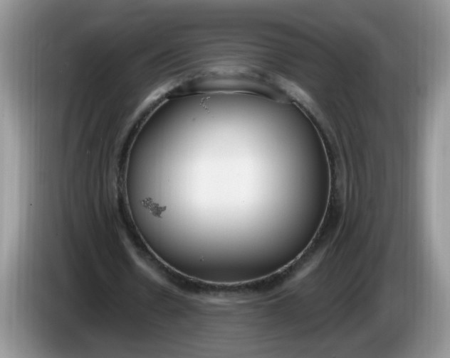 X0000086250530200704121953