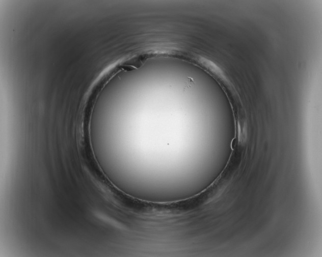 X0000086250531200704121953