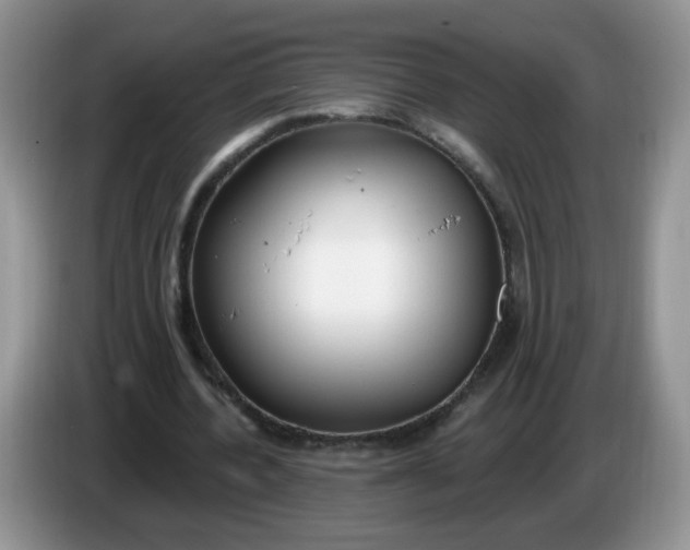 X0000086250532200704121953