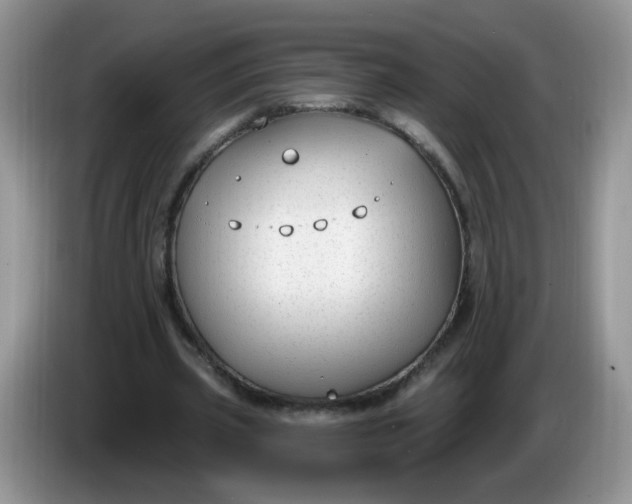 X0000086250533200704121953