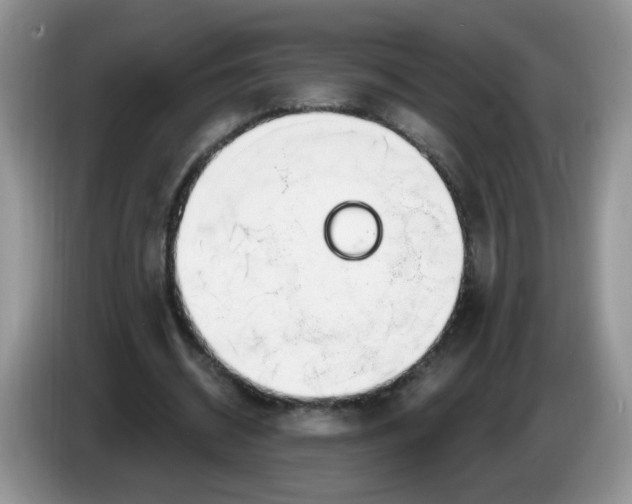 X0000086250534200704121953