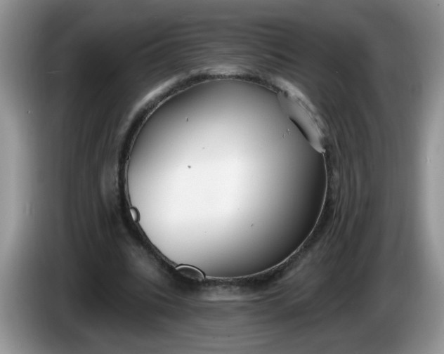 X0000086250535200704121953