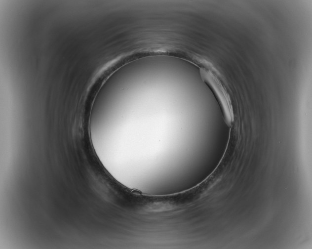 X0000086250536200704121953