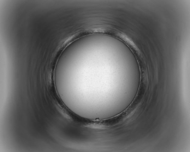 X0000086250537200704121953