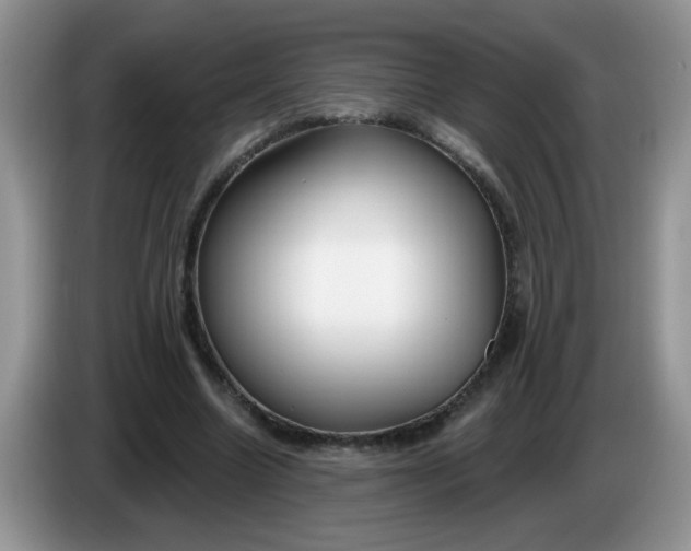 X0000086250538200704121953