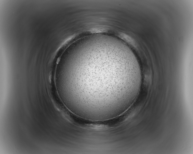 X0000086250539200704121954