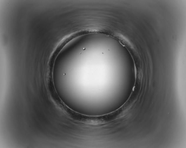 X0000086250540200704121954