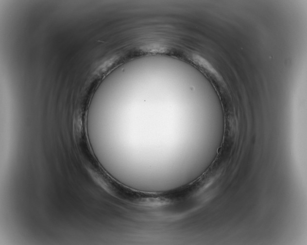 X0000086250541200704121954