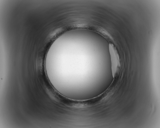 X0000086250542200704121954