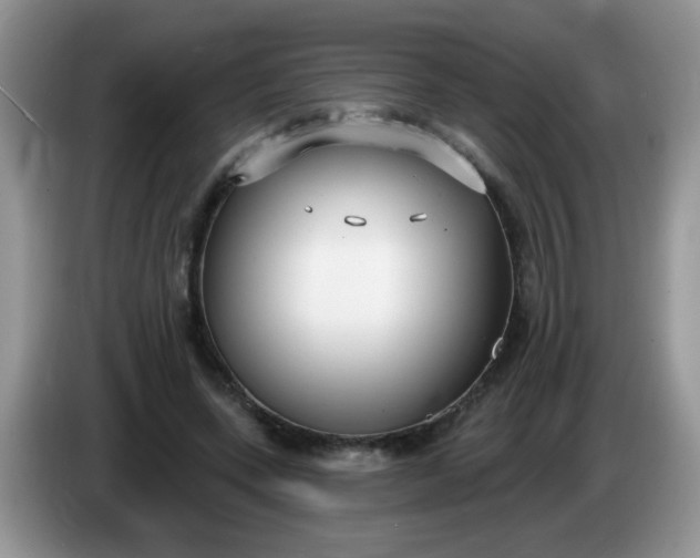 X0000086250543200704121954