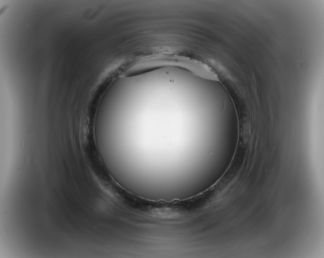 X0000086250544200704121954