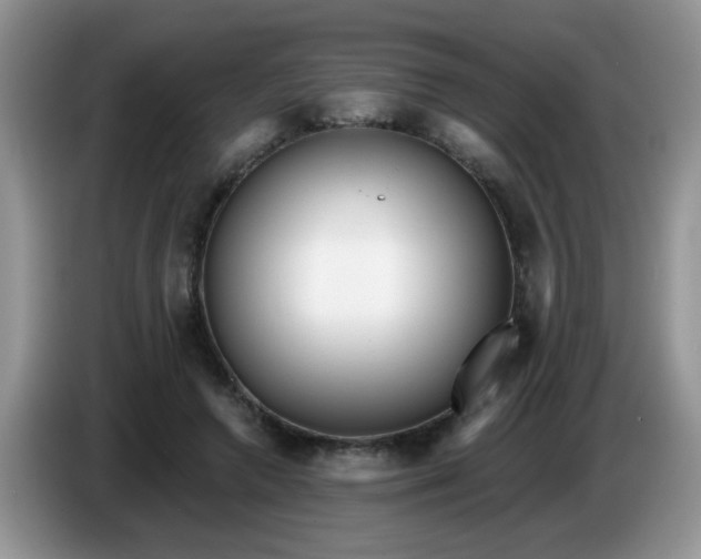 X0000086250546200704121954