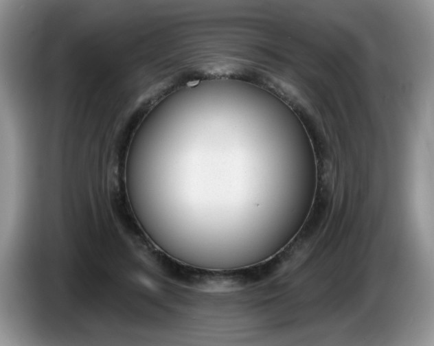 X0000086250547200704121954