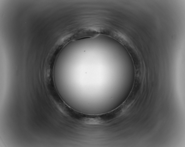 X0000086250548200704121954