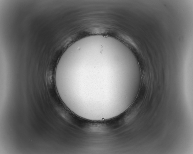 X0000086250549200704121954