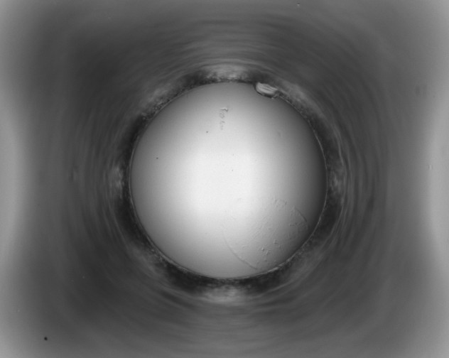X0000086250551200704121954