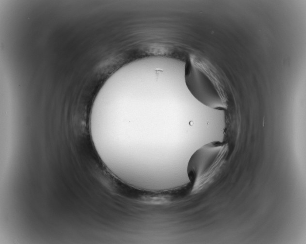 X0000086250553200704121954
