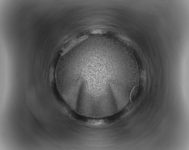 X0000086250554200704121954