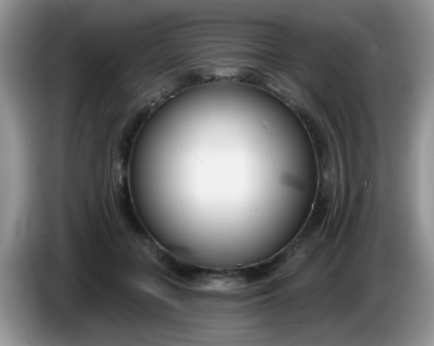 X0000086250555200704121954