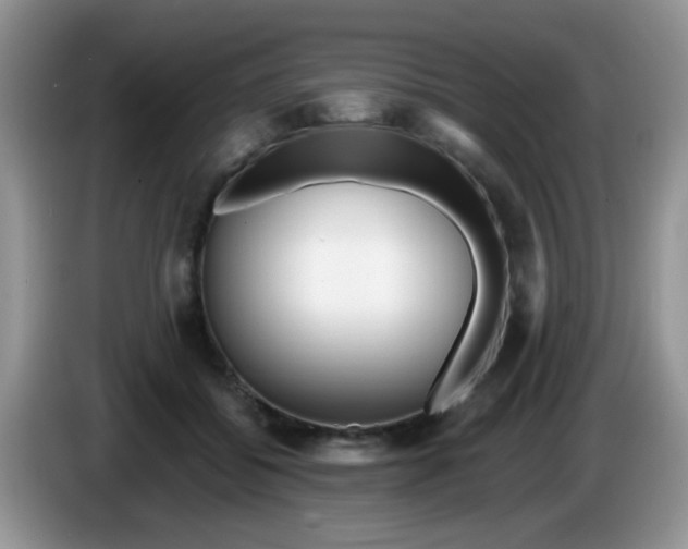 X0000086250556200704121954