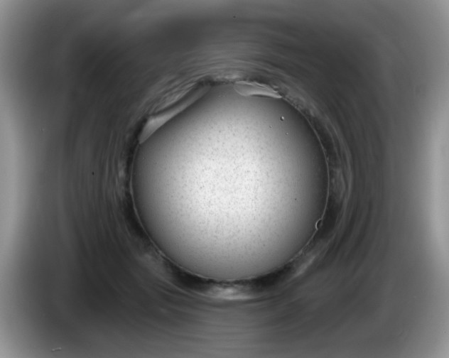X0000086250557200704121954