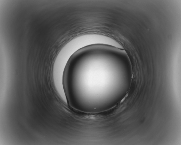 X0000086250558200704121954
