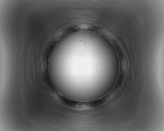 X0000086250559200704121954