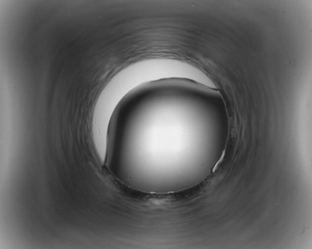 X0000086250560200704121954