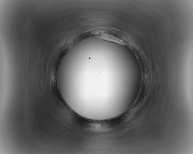 X0000086250561200704121954